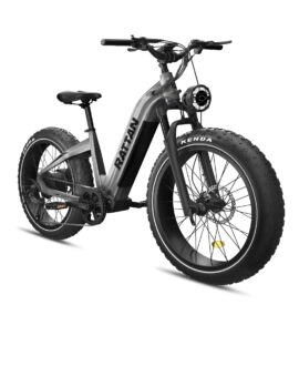 Rattan Sequoia 48V /20AH 750W Fat Tire Electric Bike