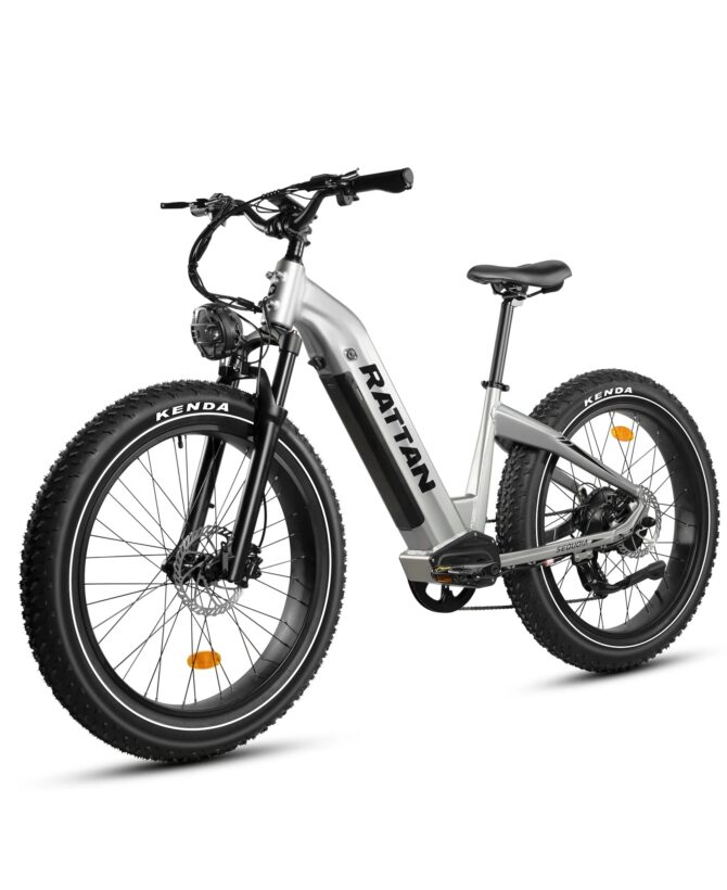 Rattan Sequoia 48V /20AH 750W Fat Tire Electric Bike