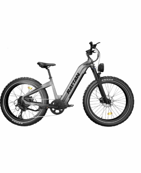 Rattan Sequoia 48V /20AH 750W Fat Tire Electric Bike