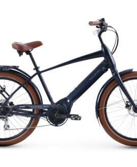 Raleigh Retroglide Royale iE Step Over