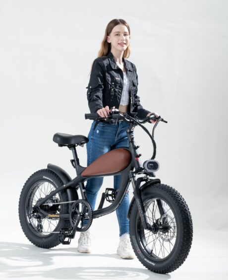 Revi Bikes Cheetah Mini 48V/15Ah 500W Fat Tire Electric Bike