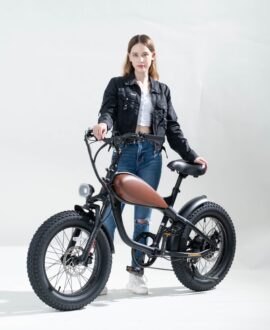 Revi Bikes Cheetah Mini 48V/15Ah 500W Fat Tire Electric Bike