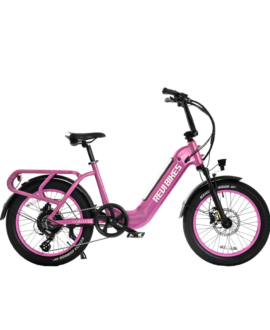 Revi Bikes Runabout.2 52V/15Ah 750W Electric Bike