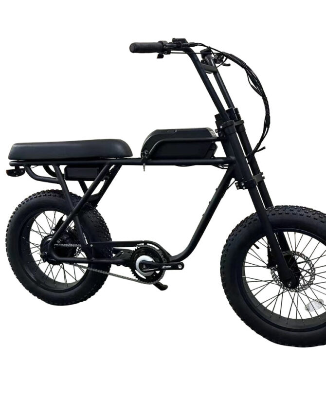 Coastal Cruiser Ripper 48V 750W Moto Style Electric Bike