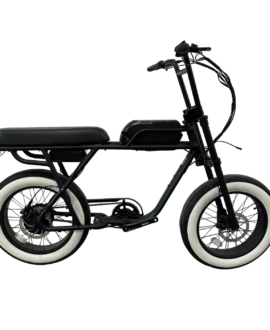 Coastal Cruiser Ripper 48V 750W Moto Style Electric Bike