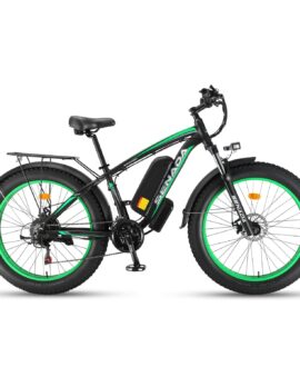 Senada Archon Pro 48V/17.5Ah 1000W Fat Tire Electric Mountain Bike