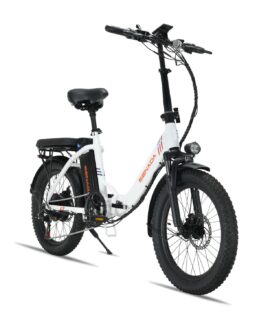 Senada Austin 48V/ 14AH 500W Practical Foldable Ebike