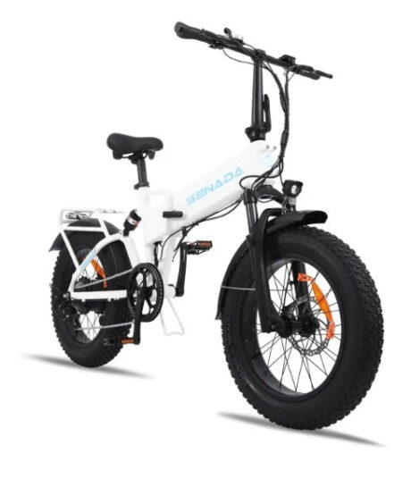 Senada Gladiator 750W 15Ah Cargo Electric Bike