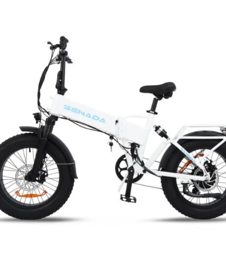 Senada Gladiator 750W 15Ah Cargo Electric Bike