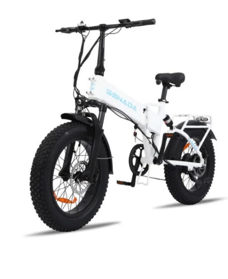 Senada Gladiator 750W 15Ah Cargo Electric Bike