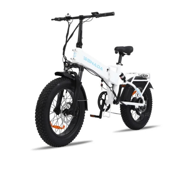 Senada Gladiator 750W 15Ah Cargo Electric Bike