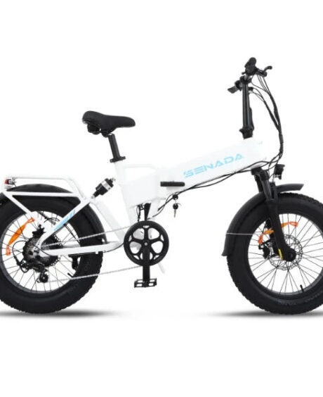 Senada Gladiator 750W 15Ah Cargo Electric Bike