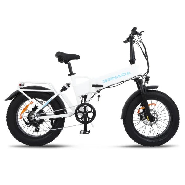 Senada Gladiator 750W 15Ah Cargo Electric Bike