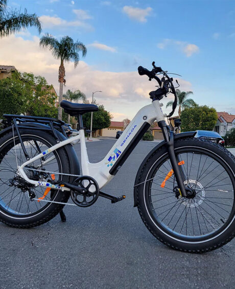 Senada Mayor 48V/ 20AH 750W Premium All-terrain Fat Tire Electric Bike