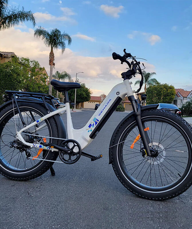 Senada Mayor 48V/ 20AH 750W Premium All-terrain Fat Tire Electric Bike