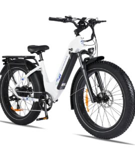 Senada Mayor 48V/ 20AH 750W Premium All-terrain Fat Tire Electric Bike