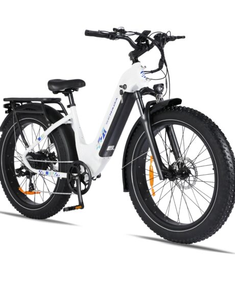 Senada Mayor 48V/ 20AH 750W Premium All-terrain Fat Tire Electric Bike