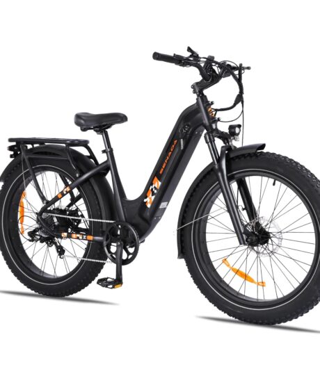 Senada Mayor 48V/ 20AH 750W Premium All-terrain Fat Tire Electric Bike