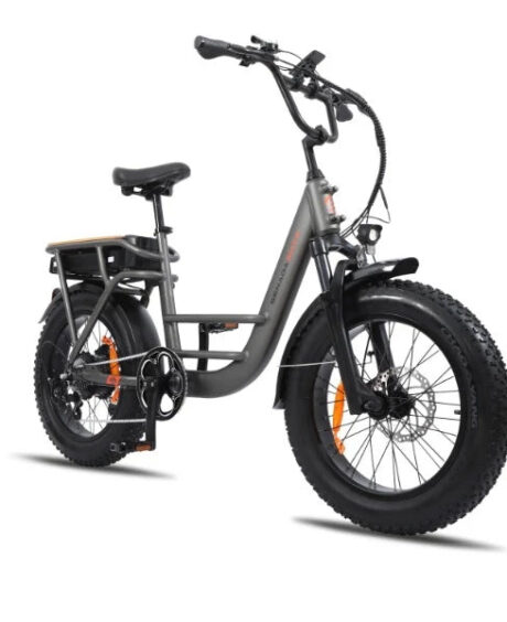 Senada Osprey 500W 48V 20Ah Cargo Fat Tire Ebike