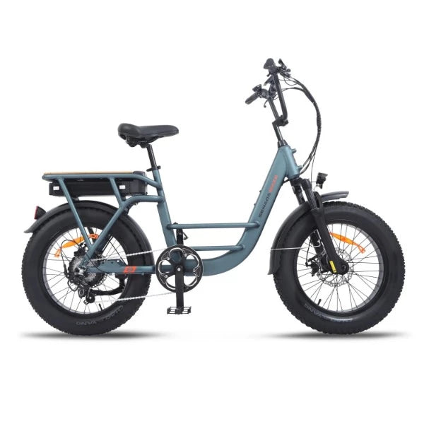 Senada Osprey 500W 48V 20Ah Cargo Fat Tire Ebike