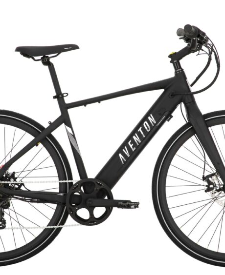 Soltera.2 Ebike