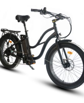 Coastal Cruiser 52v/750w Step Thru  Beach Cruiser Electric Bike