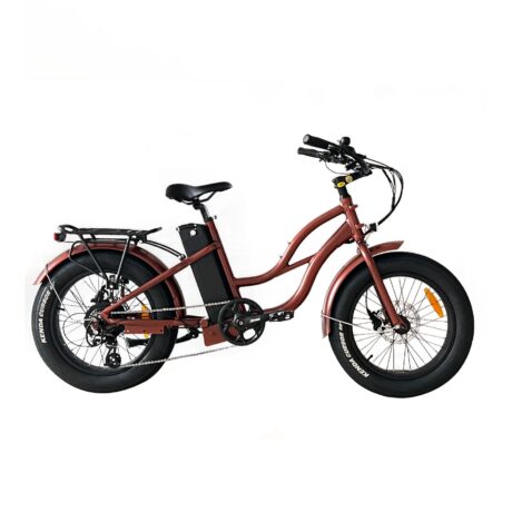 Coastal Cruiser 52v/750w Step Thru  Beach Cruiser Electric Bike