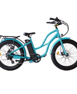 Coastal Cruiser 52v/750w Step Thru  Beach Cruiser Electric Bike