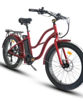 Coastal Cruiser 52v/750w Step Thru  Beach Cruiser Electric Bike