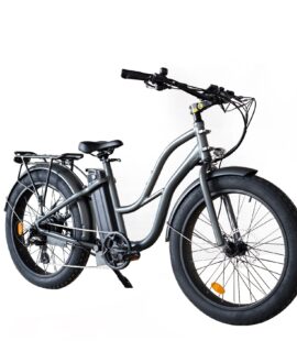 Coastal Cruiser 52v/750w Step Thru  Beach Cruiser Electric Bike