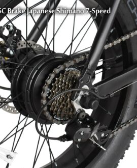 Tracer Coyote 20'' 48V 13Ah 500W Fat Tire Foldable Electric Bike