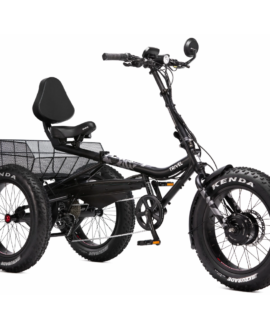 Trivel e-Azteca 10.5Ah/48V 500W Fat Tire Electric Trike