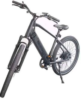 Coastal Cruiser Trustmade Bobcat 48V 500W Hardtail Electric Bike