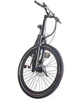 Coastal Cruiser Trustmade Bobcat 48V 500W Hardtail Electric Bike