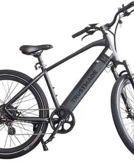 Coastal Cruiser Trustmade Bobcat 48V 500W Hardtail Electric Bike